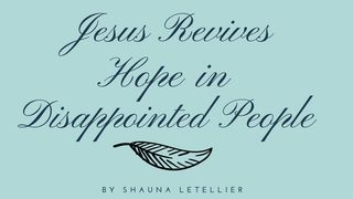Jesus Revives Hope In Disappointed People Hebrews 6:20 New International Version
