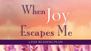 When Joy Escapes Me By Nina Smit Hebrews 6:9-12 The Message