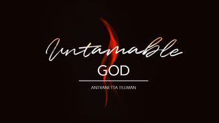 Untamable God  Romans 3:21-26 The Message