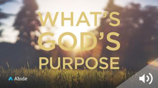 What Is God’s Purpose For My Life? Genesis 12:1-2, 2, 2-3, 3, 3-5, 5-8, 8 King James Version