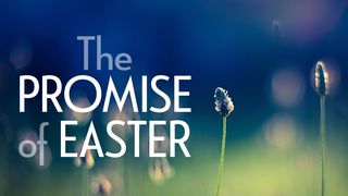 Our Daily Bread: The Promise of Easter Hebrews 10:16-31 New Living Translation