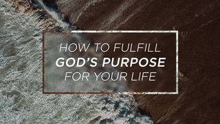 How To Fulfill God's Purpose For Your Life Deuteronomy 23:5 English Standard Version 2016