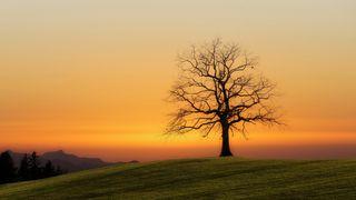 Hidden Treasure Within Matthew 6:6 Christian Standard Bible