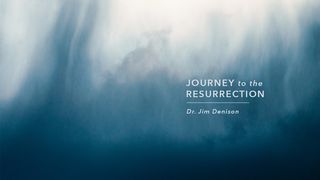 Journey To The Resurrection Mark 11:12 New International Version