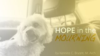 Hope in The Mourning Romans 4:20 New Living Translation