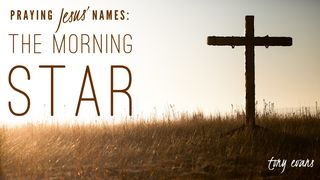 Praying Jesus' Names: The Morning Star Proverbs 3:5-12 The Message