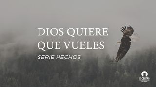 [Serie Hechos] Dios quiere que vueles  Hechos 5:42 La Biblia de las Américas