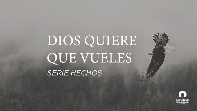 [Serie Hechos] Dios quiere que vueles 