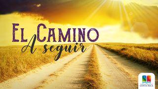 El camino a seguir Isaías 40:28-31 Nueva Traducción Viviente