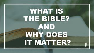 What Is The Bible, And Why Does It Matter? John 5:39-44 English Standard Version 2016