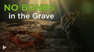 No Bones In The Grave: Devotions From Time Of Grace Matthew 4:19-20 New International Version