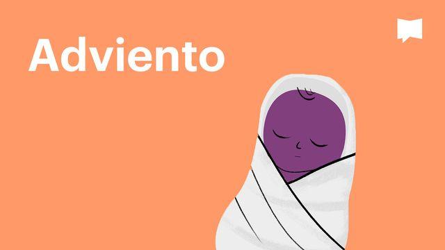 Proyecto Biblia | Adviento