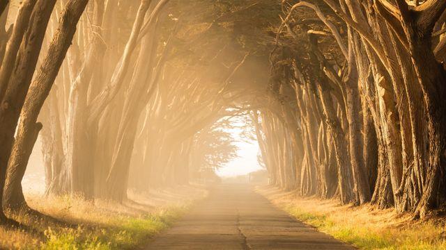 The Pathway to God