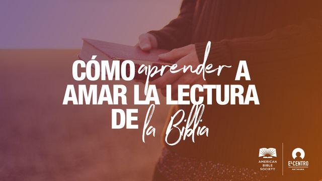 Cómo aprender a amar la lectura de la Biblia 