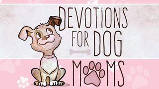 Devotions for Dog Moms 1 Peter 3:1-6 The Message