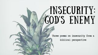 Insecurity: God's Enemy  The Books of the Bible NT