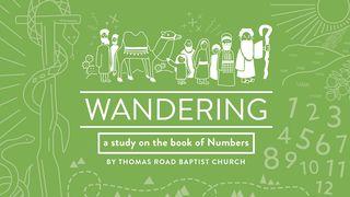 Wandering: A Study In Numbers Numbers 20:14-29 English Standard Version 2016