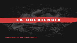 La obediencia. Deuteronomio 28:3 Nueva Versión Internacional - Español