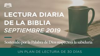 Lectura Diaria De La Biblia–Sostenido Por La Palabra De Dios Respecto A La Sabiduría Lucas 12:7 Nueva Versión Internacional - Español