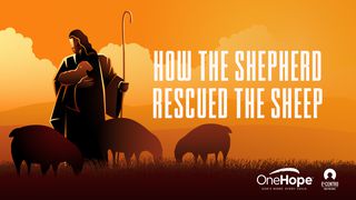 How The Shepherd Rescued The Sheep Ezekiel 34:16 New American Standard Bible - NASB 1995
