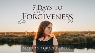 7 Days To Forgiveness 로마서 2:1 현대인의 성경