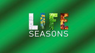Life Seasons Ecclesiastes 3:2-8 The Message
