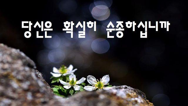 당신은 확실히 순종하십니까