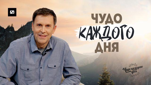 Чудо каждого дня