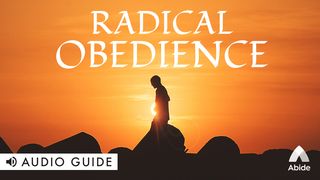 Radical Obedience Colossians 3:20 New Century Version