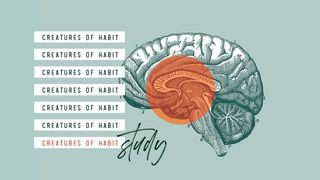 Creatures Of Habit: Study  John 17:1-26 New International Version
