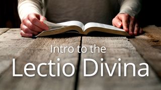 Intro To The Lectio Divina Proverbs 1:22-24 The Message