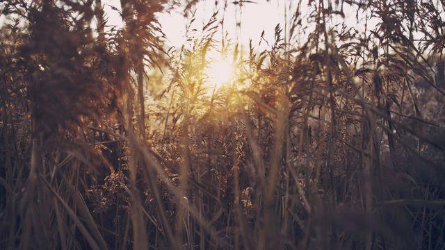 Discover Hope Through Faith