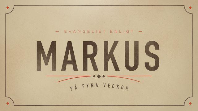 Markus på fyra veckor