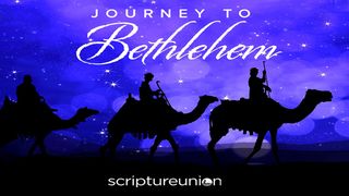 Journey To Bethlehem Isaiah 11:1 New Living Translation