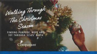 Finding Purpose, Hope and Joy Through Jesus’ Birth Psalms 98:9 The Message