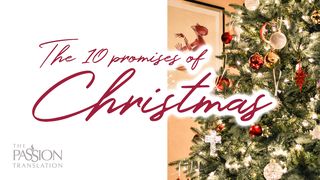 The 10 Promises of Christmas Galatians 3:23 New Living Translation