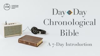 Day-by-Day Chronological Reading Plan, a 7-Day Introduction Psalms 146:1-2 The Message