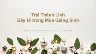 Trái Thánh Linh – Bày tỏ trong Mùa Giáng Sinh Ai 3:26 Kinh Thánh Tiếng Việt, Bản Dịch 2011