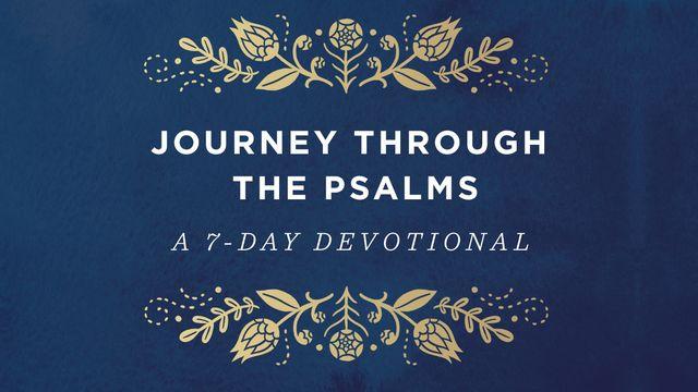 Journey through the Psalms: A 7-Day Devotional