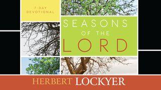 Seasons Of The Lord Psalms 119:19 New International Version