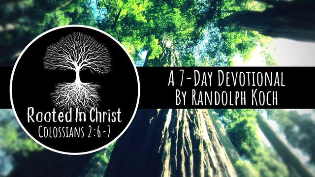 Rooted In Christ