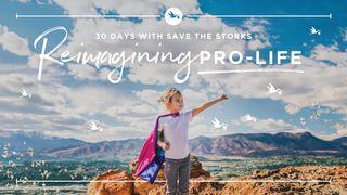 Reimagining Pro-Life: 30 Days With Save the Storks Jeremias 22:16 Almeida Revista e Atualizada