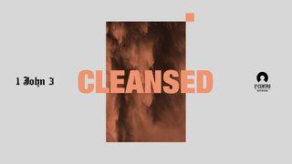 [1 John Series 3] Cleansed Psalms 51:4 New Living Translation