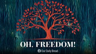 Oh, Freedom Psalms 118:22 The Passion Translation