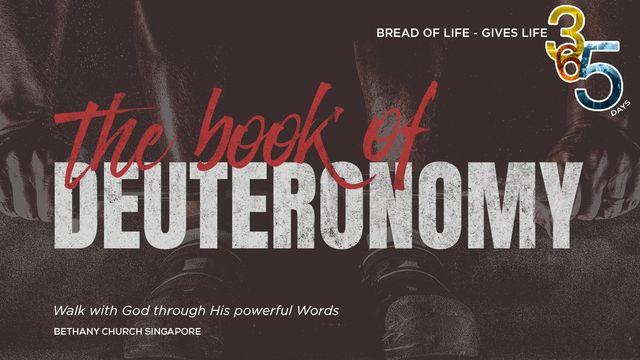 Book of Deuteronomy 
