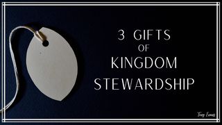 3 Gifts of Kingdom Stewardship Ephesians 5:16 New Living Translation