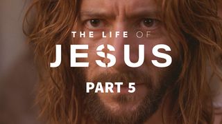 The Life of Jesus, part 5 (5/10) John 9:1-5 The Message