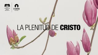 La plenitud de Cristo Colosenses 3:11-15 Nueva Versión Internacional - Español