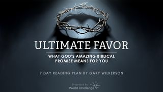 Ultimate Favor  The Books of the Bible NT