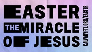 The Miracle of Easter Mark 11:8-10 The Message